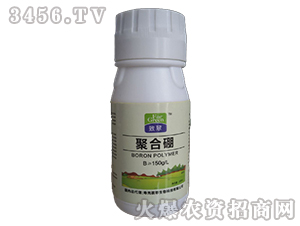 �ۺ���-�´�����