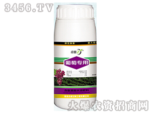 ���ь�(zhu��n)��-׿��-����