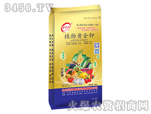 �S����⛛_ʩ��-ֲ���S���-��(r��n)���r(n��ng)�I(y��)