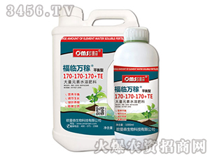 ���R�f��170-170-170+TE-ƽ����-�W��ɭ