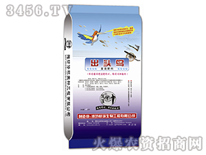 �ͻ����-���^�B-���� 