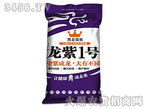 ����1̖(h��o)-�����F��-����N�I(y��)