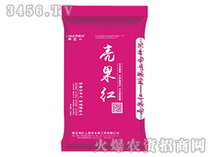 �����ɫ����-�����t-������