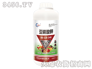 �������0-520-340-�S�T�ʘI(y��)