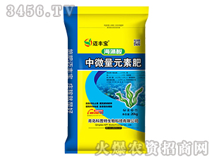 ��������΢��Ԫ�ط�-�~�S��-������