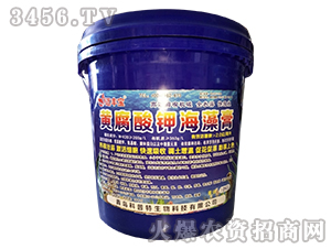 �S����⛺����-�~�S��-������