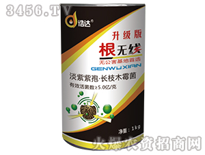 ΢�������-���o��-���_