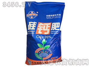 ���}��-�d�i 