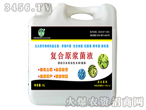 ��(f��)��ԭ�{��Һ-�Ɲ�