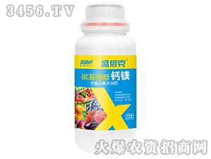 ̼���Ǵ��}�V-ʢ����-��ʢ���S