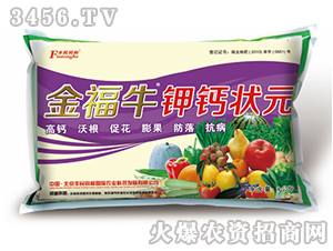 ��ţ��}��Ԫ-�S��ͬ��