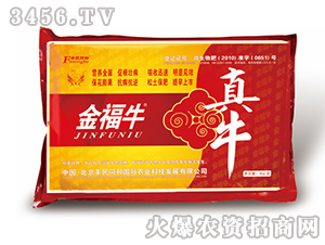 ��ţ-��ţ-�S��ͬ��