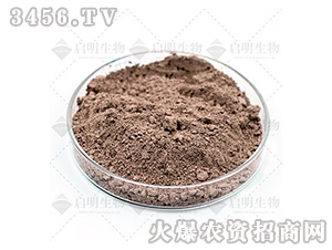 ���ϔM��ù-��������