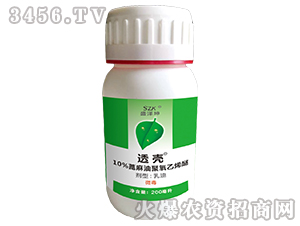 ͸��-ʢ����