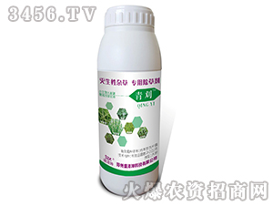 ����-ʢ����