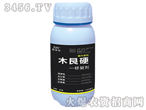 ľ��Ӳ���ޏ�(f��)��-ʢ����