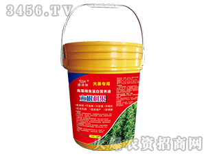 ���徫�~���נI�B(y��ng)Һ���󽪌��ã�-��������-ʢ����