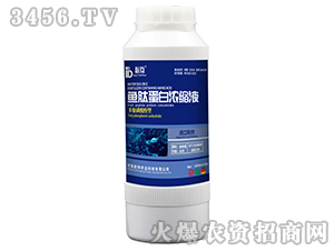 �~�ĵ��ם�sҺ-�ػ�-�W���r�I(y��)