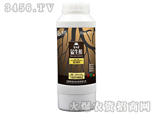 �������������T���̼��أ�-�ػ�-�W���r�I(y��)