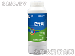 12Ԫ��-�ػ�-�W���r�I(y��)