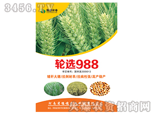 ݆�x988-С���N��-ԥ���r(n��ng)�I(y��)