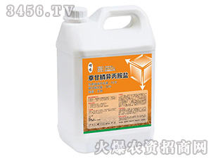 41%�ݸ�좮������}����-��ؐ��