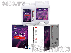 �𿨠�-������-�Ѻ�