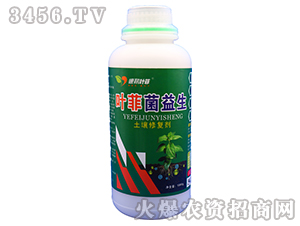 �����ޏ�(f��)��-�~�ƾ�����-�°��~��