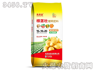 ��ጷ���15-10-20-���o��-���S�_(d��)