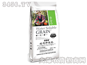 ���}��V��-�S����-���Ԫ