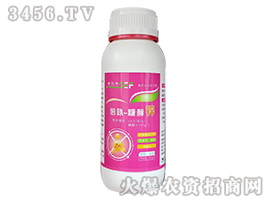 ���a(b��)-�Ǵ��\-ِ���S