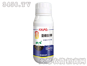 �������0-520-370+TE-�Ʒ�-̩��(l��i)��(gu��)�H