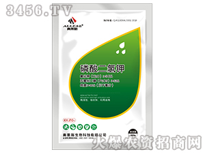 ��������-�W�R˹