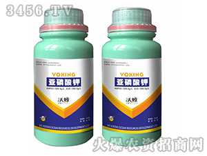 �������520-350-���L