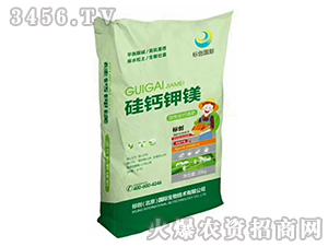 ���}��V-��(bi��o)��(chu��ng)��(gu��)�H