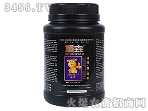 �����{(di��o)�턩-�؈�-�Z���_(d��)