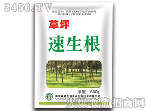 ��ƺ������-�p������