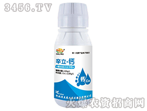 ���ϑB(t��i)С�����}-����