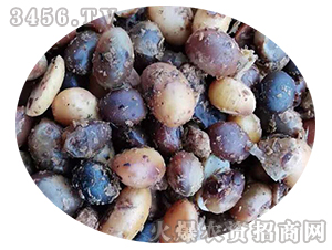 �l(f��)�ʹ��ЙC��-�T��ӯ֦