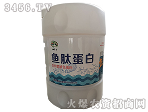 ��������~(y��)����-�~(y��)�ĵ���-�T��ӯ֦