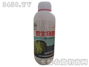 ΢�������-�T��ӯ֦