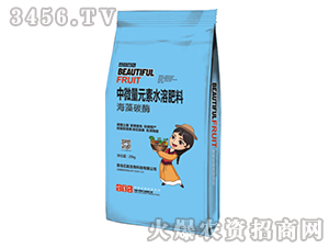 ����̼ø��΢��Ԫ��ˮ�ܷ���-�|�� 