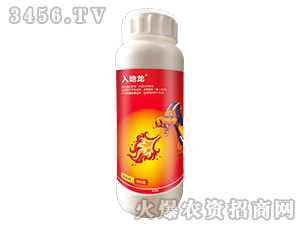 240��/���x����Ҹ���-�����-��ֲ��