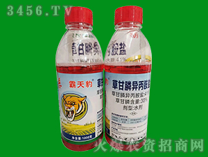 ���챪-41%�ݸ�좣�1000�ˣ�-ǧ������