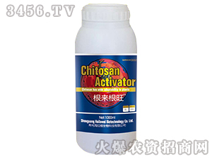 ��������-�����S