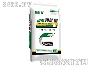 ̼ø������-������-�����S