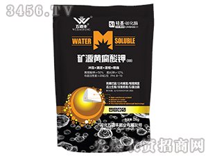 �VԴ�S����⛣�III��-����S