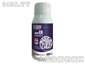 �Ǵ��F-���S�f¡