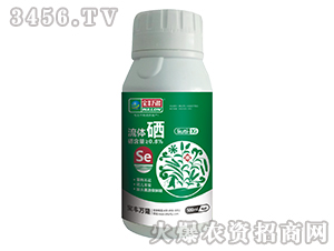 ���w��-���S�f¡