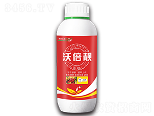 �ֱ��n-ِ���S-ِ�S����